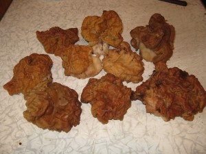 IMG_1206.jpg