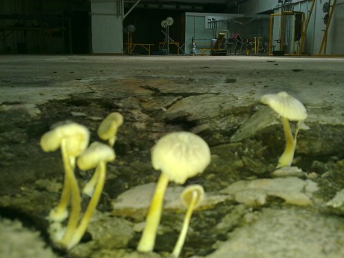 21062014593.jpg