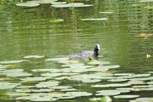 DSCN1549.JPG