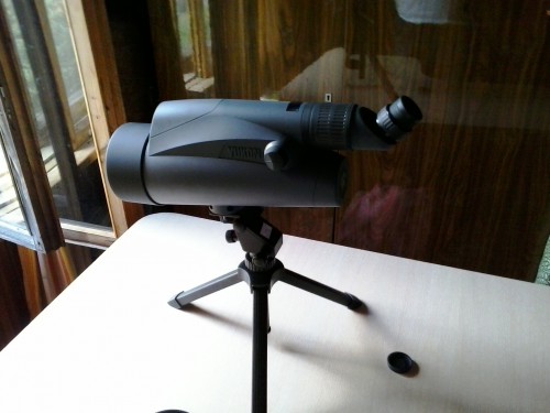 20140625_121303.jpg