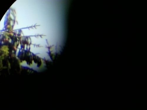 20140625_122719.jpg
