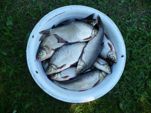 01_07.JPG (267.03 КБ) Просмотров: 10490 01_07.JPG