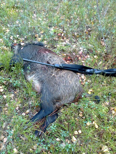 Фото0110.jpg (1.64 МБ) Просмотров: 22740 Фото0110.jpg