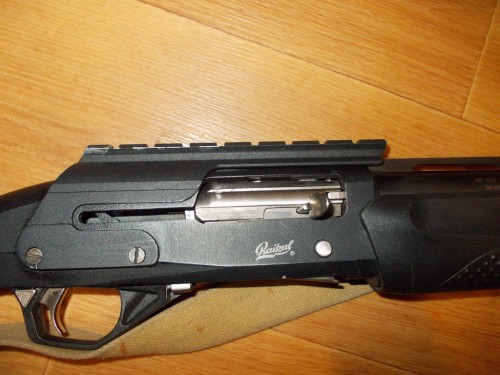 155.jpg
