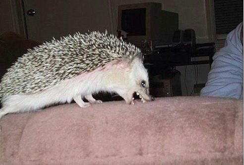 image.jpg