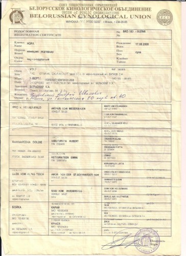 Нора родосл..jpg (152.49 КБ) Просмотров: 1339 Нора родосл..jpg