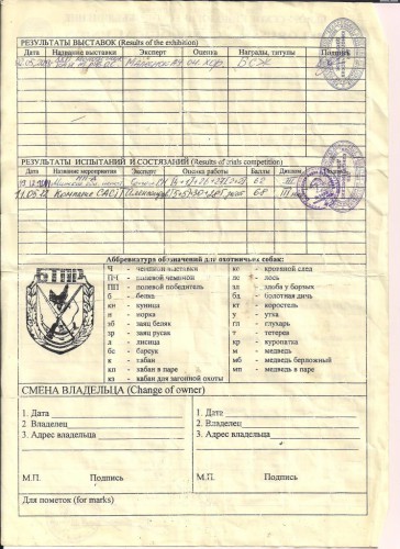Нора квал..jpg (154.84 КБ) Просмотров: 1339 Нора квал..jpg