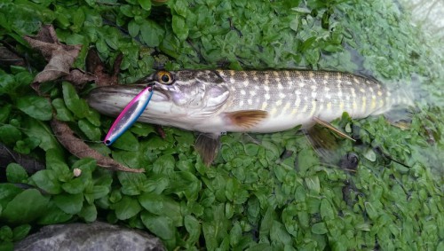 6.jpg (111.03 КБ) Просмотров: 22933 6.jpg