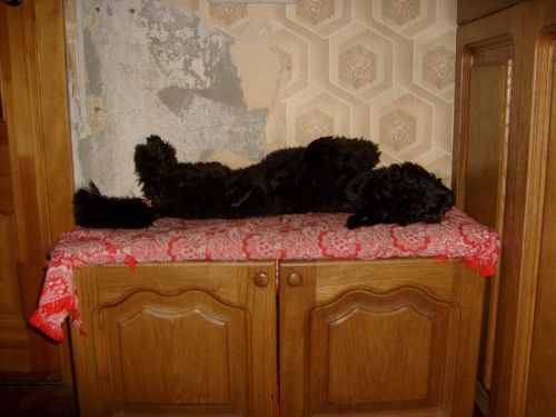 S6304811_новый размер.JPG