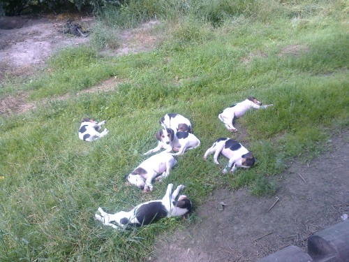 Фото0009.jpg (1.76 МБ) Просмотров: 5547 Фото0009.jpg