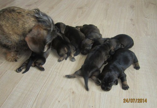 8531861d77d0234e1872230af456888a.jpg (51.21 КБ) Просмотров: 1303 8531861d77d0234e1872230af456888a.jpg