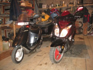 IMG_1231.jpg