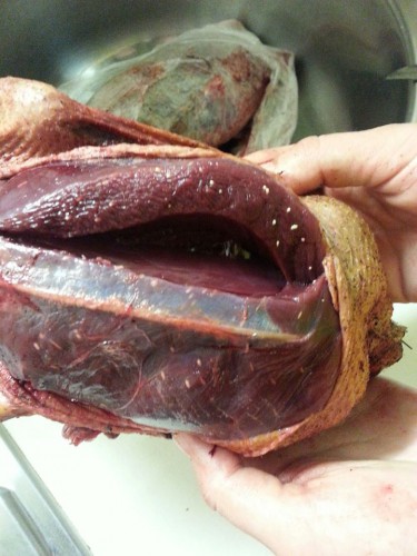 будьте осторожны.jpg (106.47 КБ) Просмотров: 15649 будьте осторожны.jpg