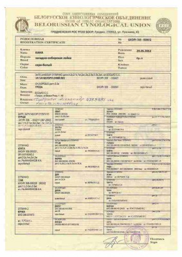 Сканировать11.jpg (35.44 КБ) Просмотров: 1597 Сканировать11.jpg