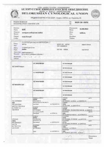 Сканировать13.jpg (28.95 КБ) Просмотров: 1597 Сканировать13.jpg