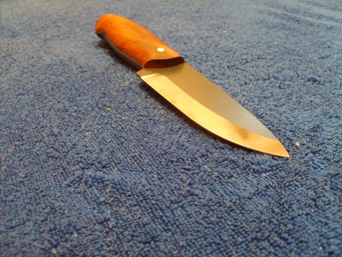 S5003032.JPG