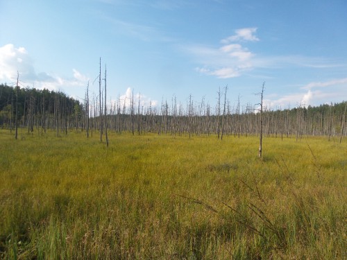 20140823_170143.jpg