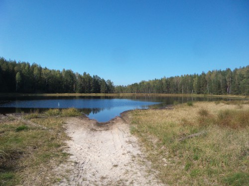 20140915_134101.jpg