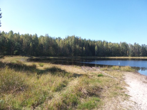 20140915_134105.jpg