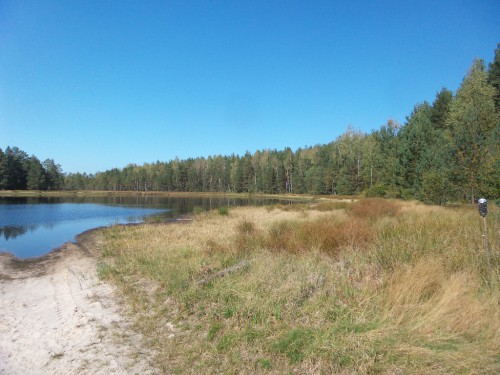 20140915_134110.jpg