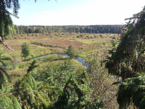 20140916_115930.jpg