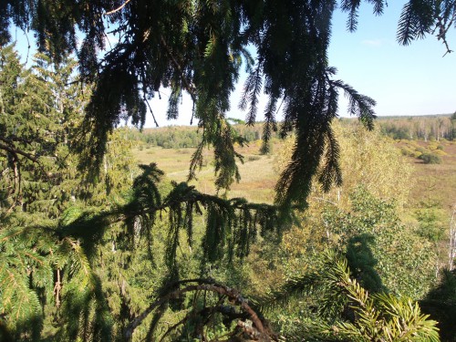20140916_115938.jpg