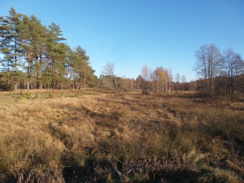 20141024_162258.jpg