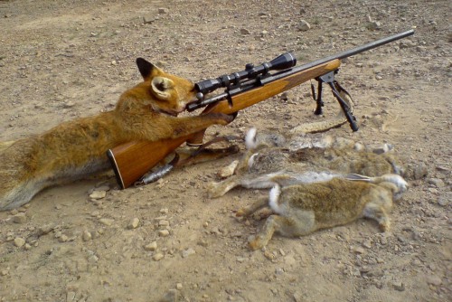 vetkovski_raion_hunter_hunting.jpg
