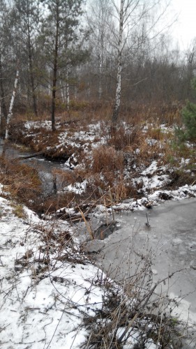20141213101911.jpg