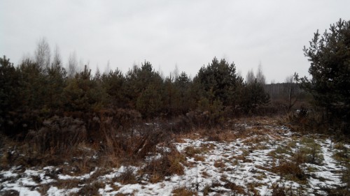 20141213101923.jpg