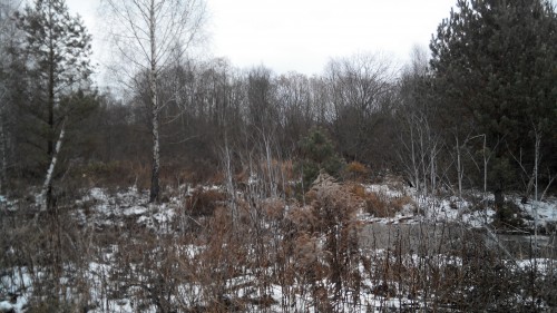 20141213101929.jpg
