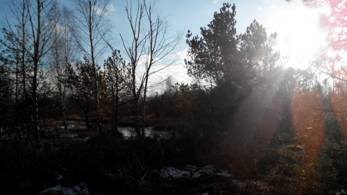 20141213124700.jpg