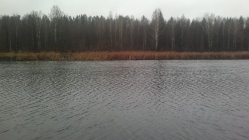 2014-12-19-1115.jpg