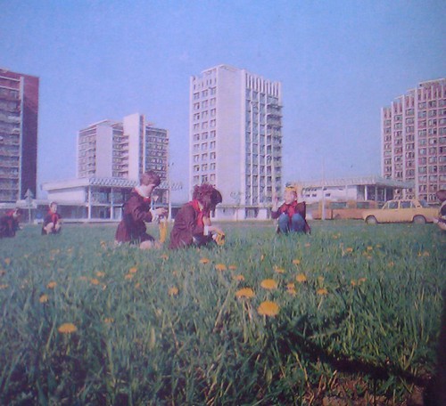 124.jpg