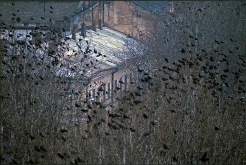 Одесса 1980г.jpg