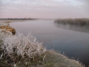 Река утром.JPG