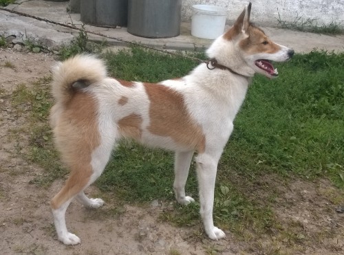 WP_20140906_048.jpg (932 КБ) Просмотров: 1602 WP_20140906_048.jpg