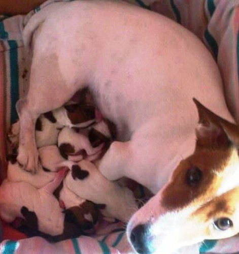 i12dRm9_1oM.jpg (33.19 ΠΠ) ΠΡΠΎΡΠΌΠΎΡΡΠΎΠ²: 1825 i12dRm9_1oM.jpg