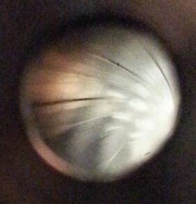 IMG223322.jpg