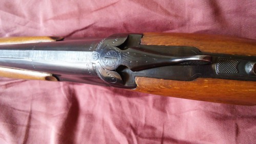 20150420_105452.jpg