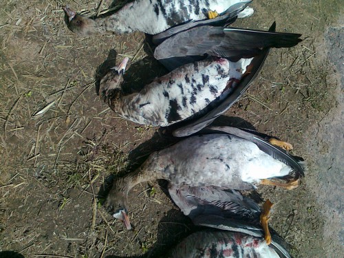 190420152097.jpg (519.57 КБ) Просмотров: 22770 190420152097.jpg