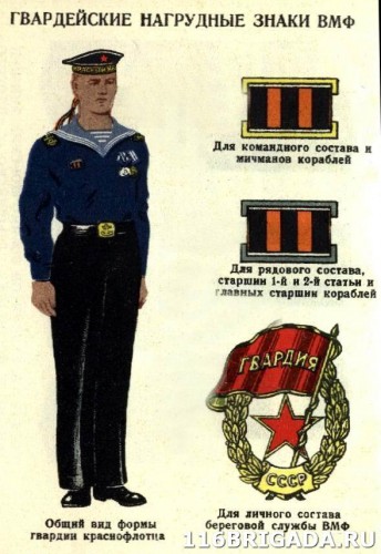 113530_original.jpg