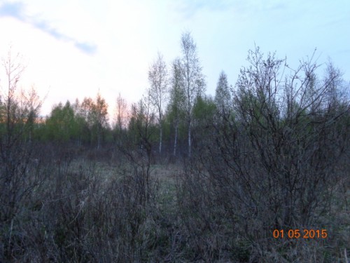DSC03070_599x449.jpg