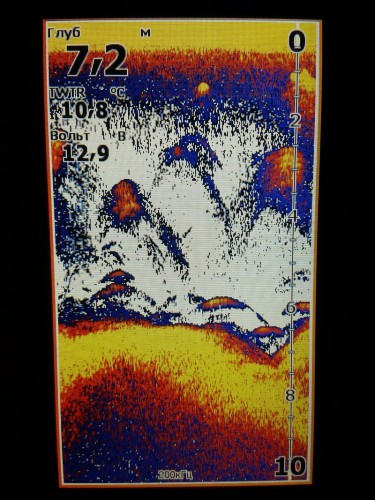 20150525_232316_800x1067.jpg (263.97 КБ) Просмотров: 10656 20150525_232316_800x1067.jpg