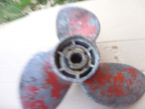 SDC10335.JPG