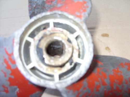 SDC10336.JPG