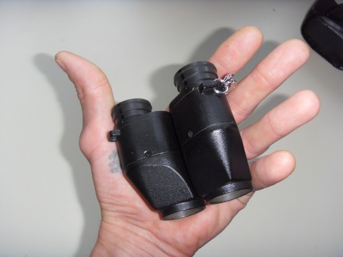 SDC10770.JPG