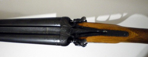 IMGP0007.jpg