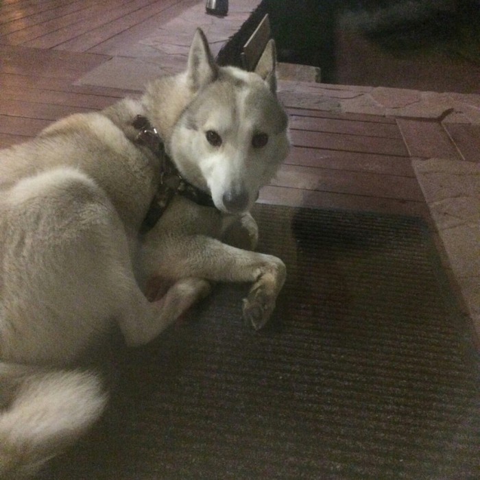 PMmyfGc4V-U.jpg (189.92 КБ) Просмотров: 6063 PMmyfGc4V-U.jpg