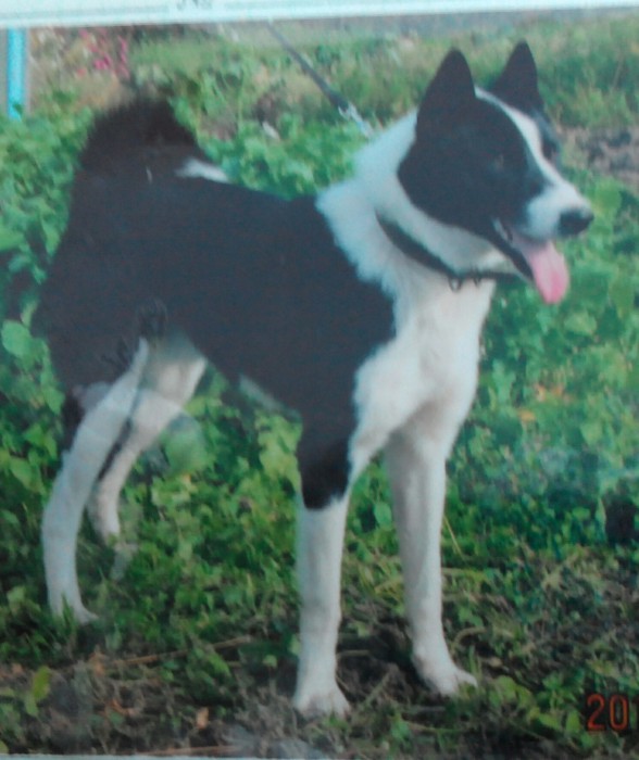 20151028174047-1.jpg (445.56 КБ) Просмотров: 1255 20151028174047-1.jpg